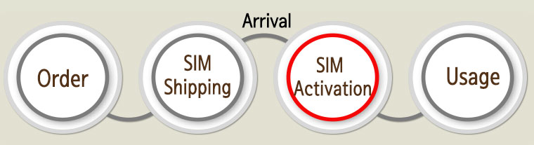 A03.SIM100-process