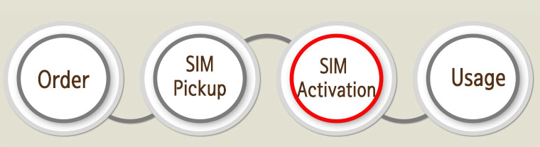 A03.SIM100-process