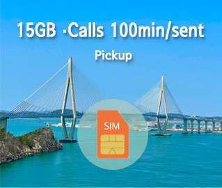 Korea SIM Lite MVNO : 15GB Data and 100mins calls, messages plan. 