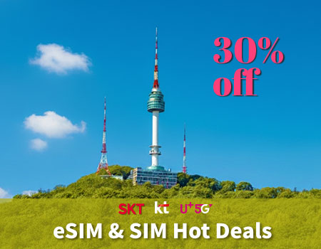 korea-sim-KT-W00
